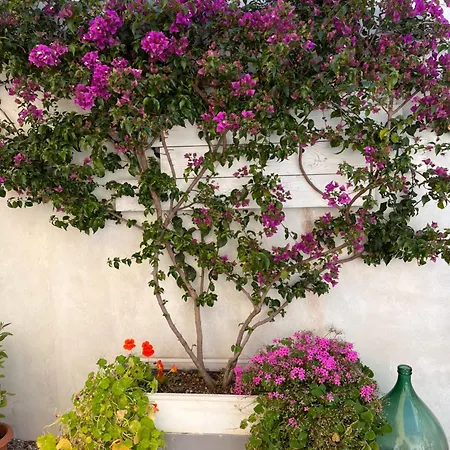 Porta Anfiteatro Pompeji