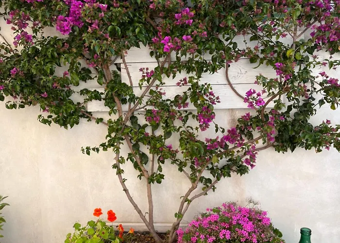 Porta Anfiteatro Pompei
